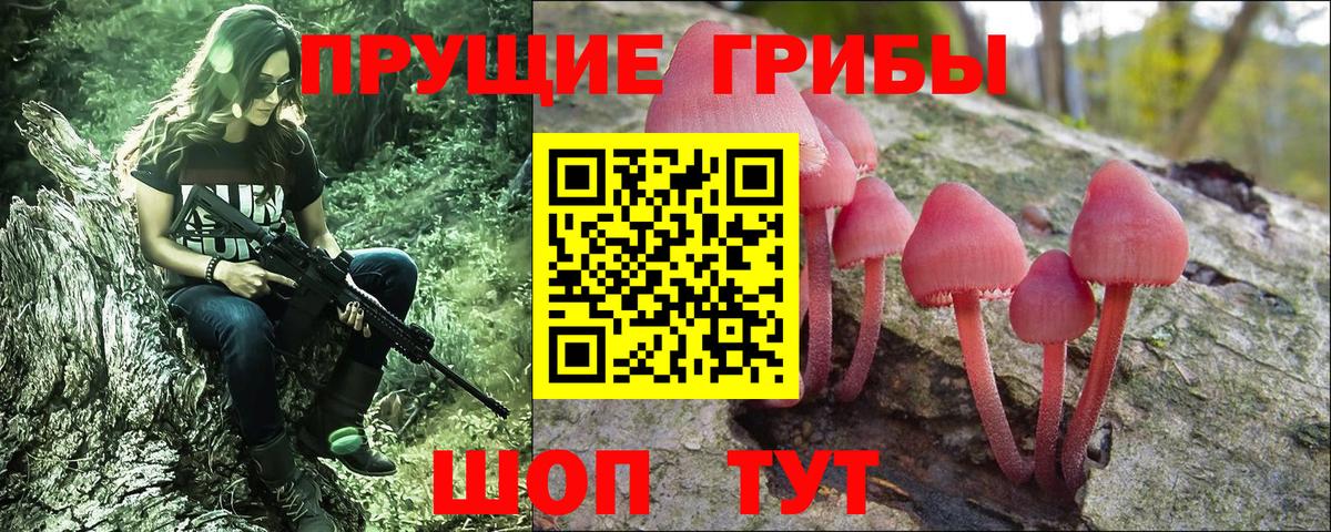 Галлюциногенные грибы ЛСД Хасавюрт