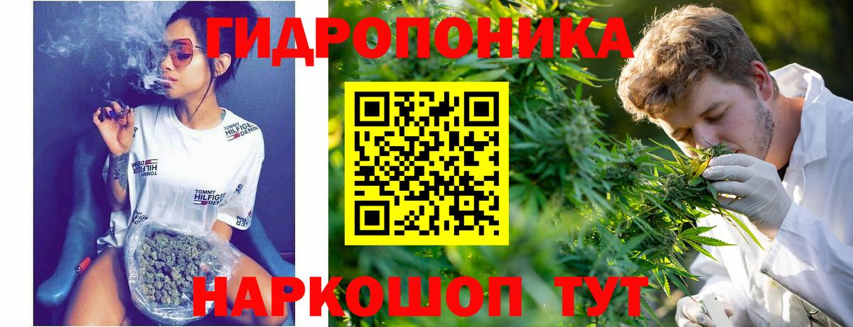 Канабис конопля  Конопля планчик  Бошки Шишки OG Kush  Конопля план  Хасавюрт  Вход с VPN 